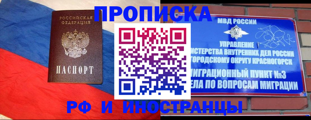 временная регистрация для всех в Зиме